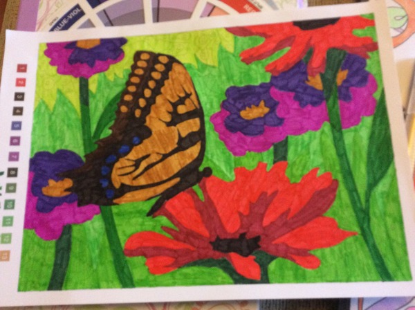 Adult colouring in books