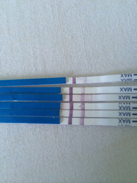 Please look at my lines...