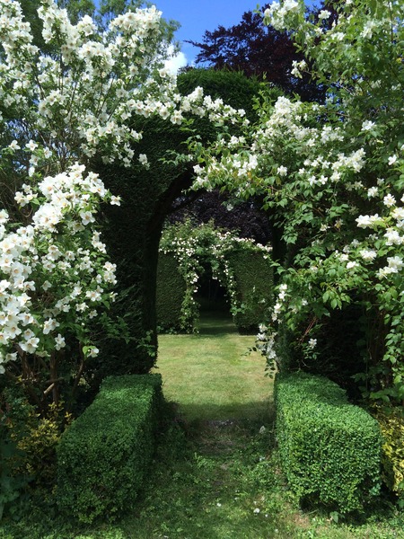 Rough winds do shake the darling buds of May: Alternative potting shed thread
