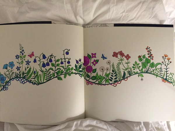 Adult colouring in books