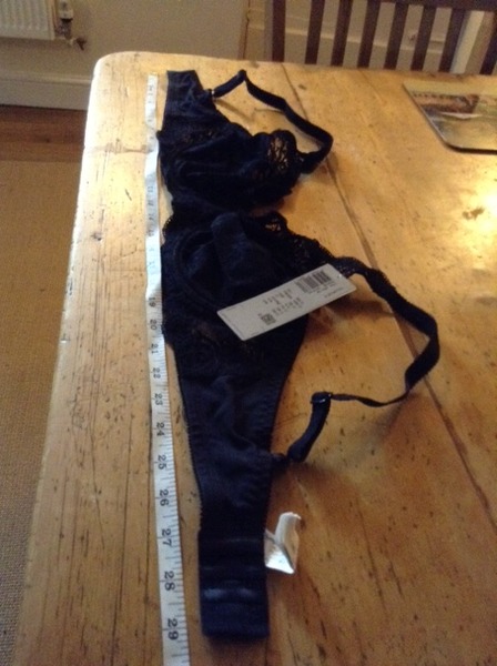 To be really irritated when someone insists that the Bra Guru method of measuring is wrong?
