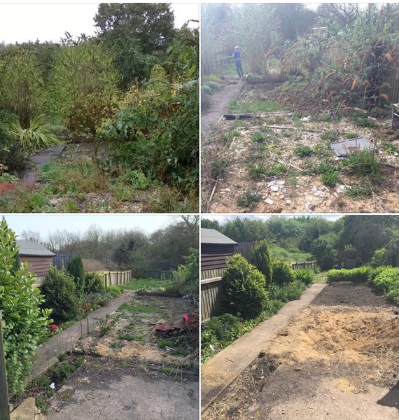 Patio...help a complete gardener novice please!