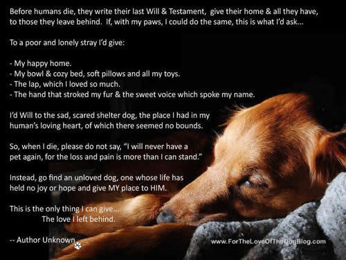 Can someone hold my hand please. My beloved dog is being pts tomorrow.