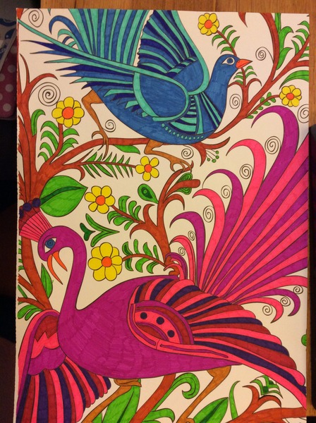 Adult colouring in books