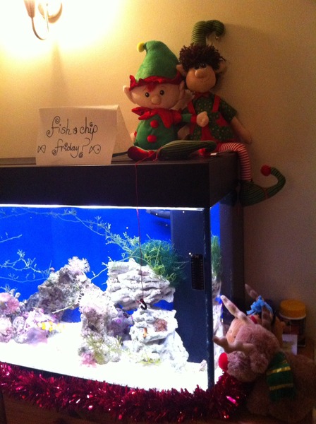 Any reefers out there?