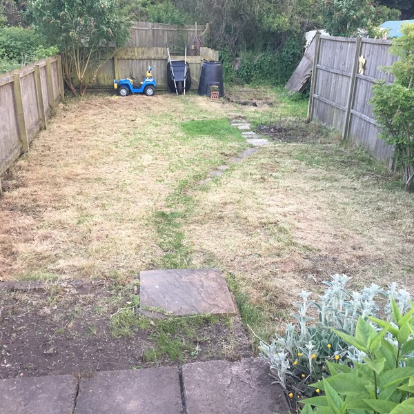 Patio...help a complete gardener novice please!