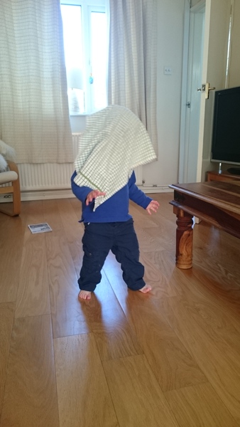 Feb 2016 early early days...