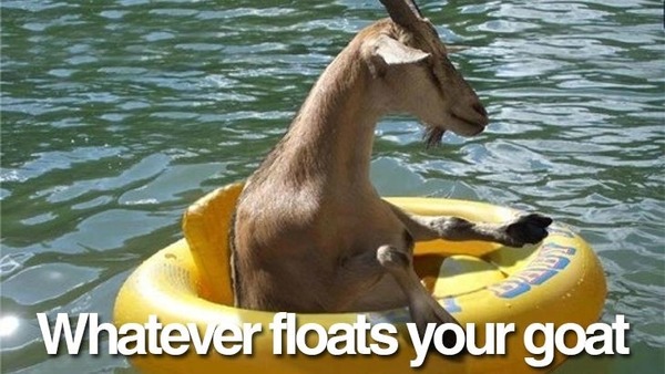 to wonder about goats?