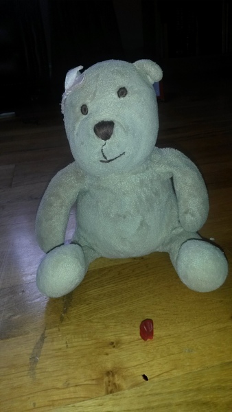 Lost Baby GAP Bear in Linlithgow