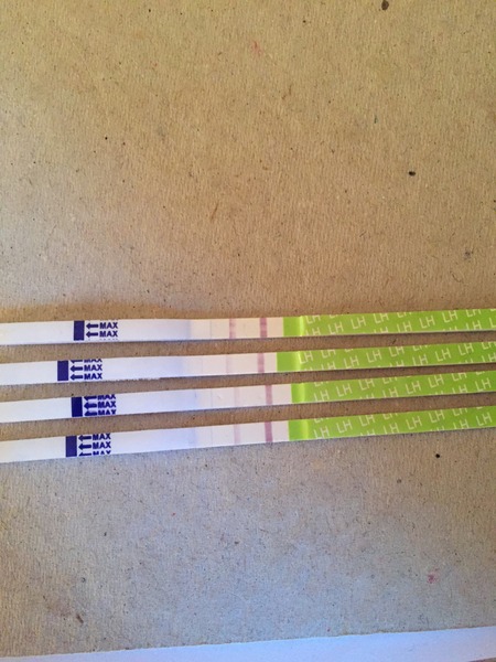 Bumsnet- you would be amazed at where we stick our thermometers to help us get our BFP's