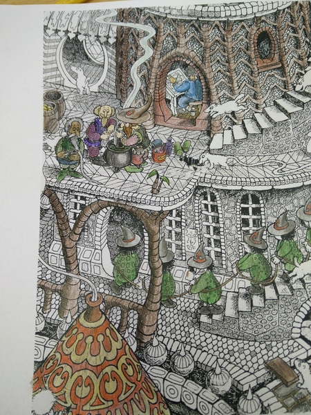 Adult colouring in books