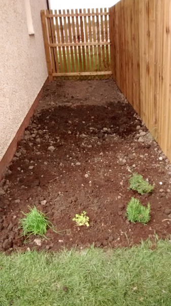 The 2015 Allotment / Veg Patch Thread Part 3 already!