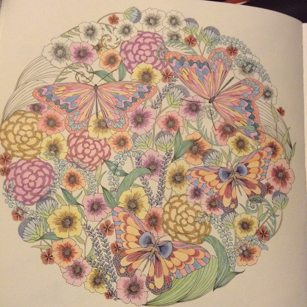 Adult colouring in books