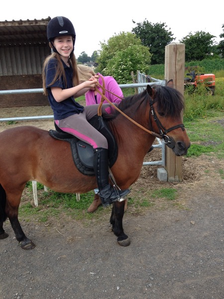 Any advice for someone who doesn't know one end of horse from another. How expensive is this likely to be?