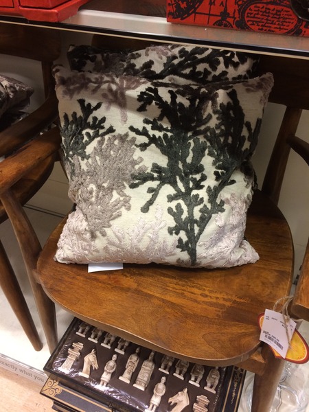Please help me find this cushion