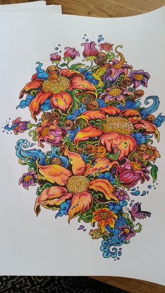 Adult colouring in books