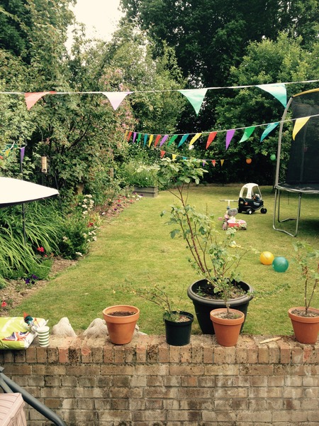 Rough winds do shake the darling buds of May: Alternative potting shed thread