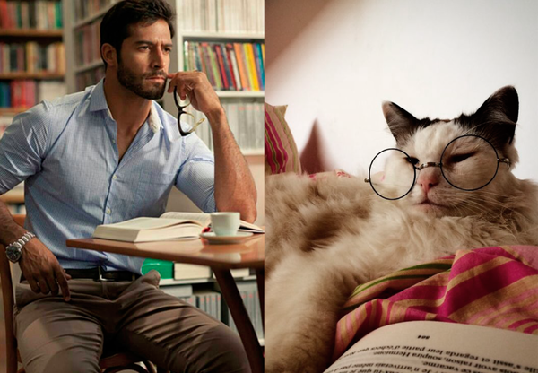 Swagger Inn: Thread 98 - Keep Wenching, How Else Do We Know We're Truly Alive?