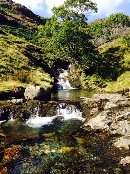 North Wales forest camping- help