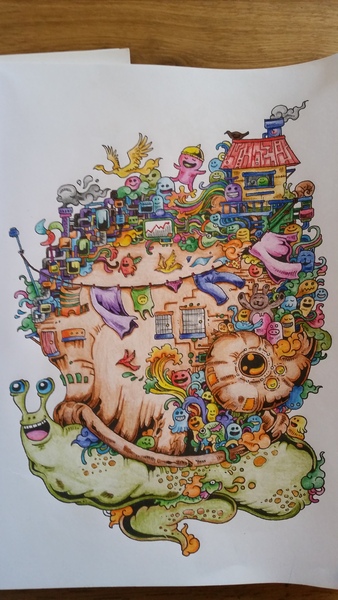 Adult colouring in books