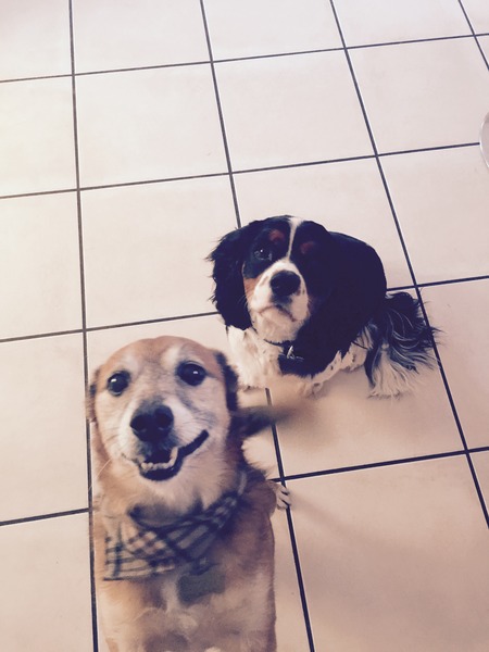 Bumsnet- you would be amazed at where we stick our thermometers to help us get our BFP's