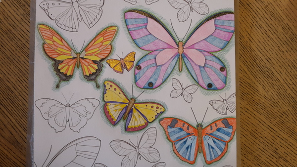 Adult colouring in books