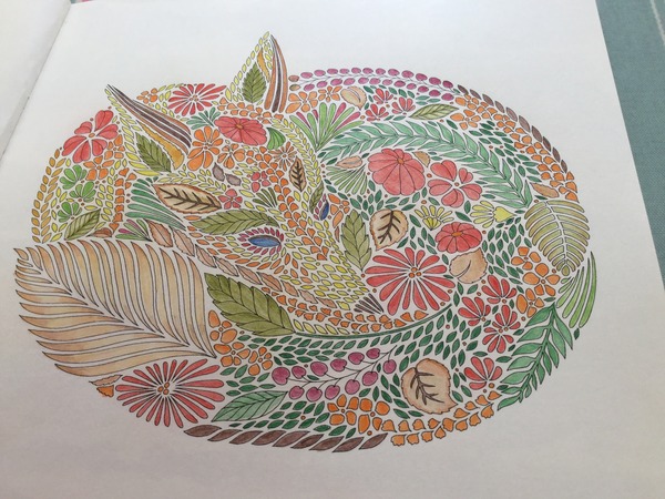 Adult colouring in books