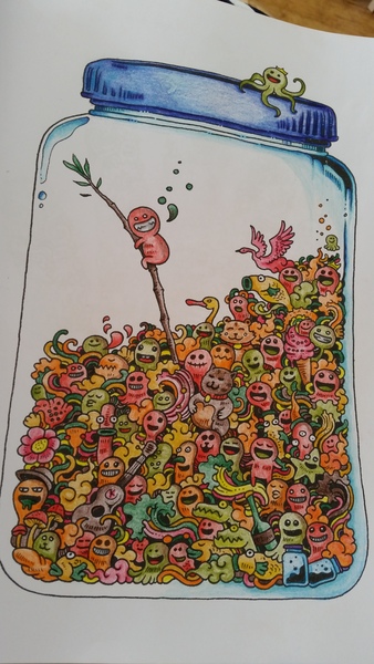 Adult colouring in books