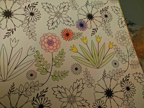 Adult colouring in books