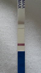 We may be rude, some call us crude, but noone can deny, when times get tough or you're feeling rough, on the Viroids you can rely.Among the laughs this bunch of dafts will pick you up each time -JS 48