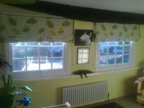 December 2015 #4 - Hello Second Trimester!