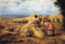 Human advancement was due to feminisation of the species.