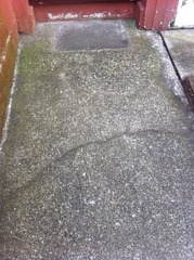 Would you try and clean this path?