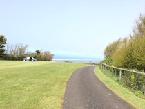 Can anyone recommend a good campsite in Dorset?