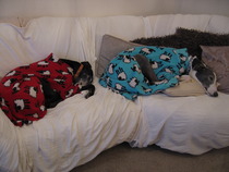 Bumsnet- you would be amazed at where we stick our thermometers to help us get our BFP's