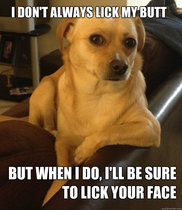 To feel hurt that my lovely dog licking someone caused such distress.