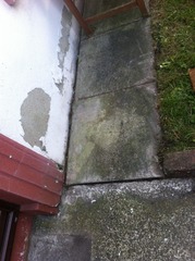 Would you try and clean this path?