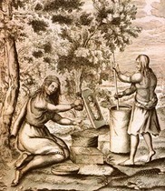 Human advancement was due to feminisation of the species.