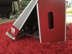 I can't find my cat anywhere (lighthearted)