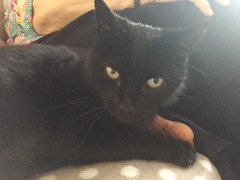 George Again