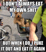 To feel hurt that my lovely dog licking someone caused such distress.