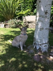 Lovely thread about our cats.