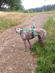 April 2015 - The babies are arriving thick and fast