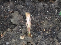 What is this please?
