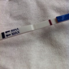 We may be rude, some call us crude, but noone can deny, when times get tough or you're feeling rough, on the Viroids you can rely.Among the laughs this bunch of dafts will pick you up each time -JS 48