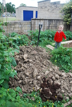 The 2015 Allotment / Veg Patch Thread Part 3 already!