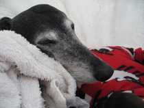 Bumsnet- you would be amazed at where we stick our thermometers to help us get our BFP's