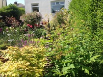 Getting hung up on which direction garden faces.