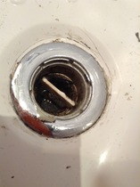 PigletJohn, would you like to look at this plughole? I'm sure you would.