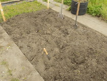 The 2015 Allotment / Veg Patch Thread Part 3 already!